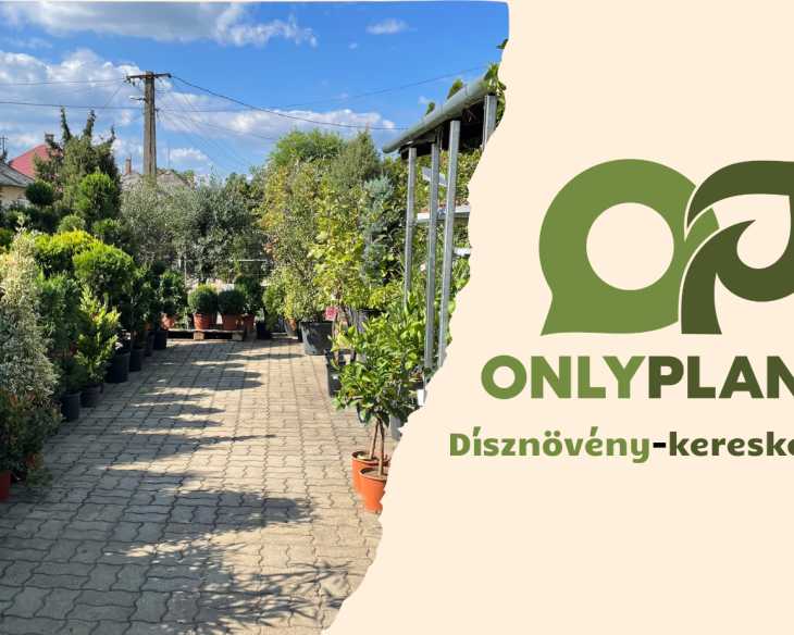 OnlyPlants Kft.