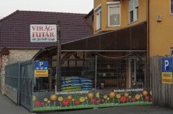 virág 2